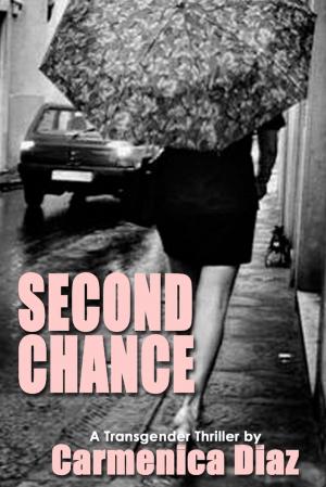 Book cover of Second Chance: A Transgender Thriller