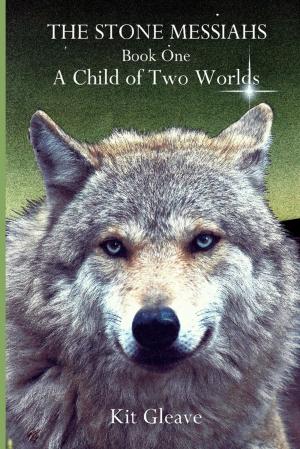 Book cover of The Stone Messiahs : Book One - A Child Of Two Worlds