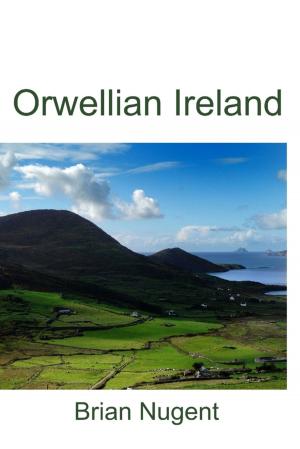 Cover of the book Orwellian Ireland by Daniel Coenn