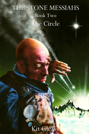 Cover of the book The Stone Messiahs : Book Two - The Circle by Mark Flanagan 