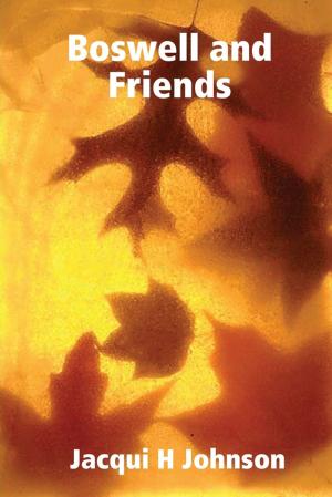 Cover of the book Boswell and Friends by Douglas Christian Larsen