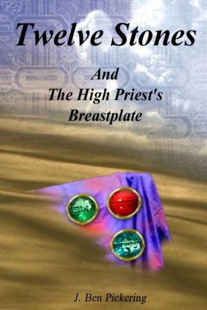 Cover of the book Twelve Stones : And the High Priest's Breastplate by Chris Morningforest, Rebecca Raymond
