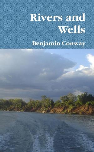 Cover of the book Rivers and Wells by Hughan Smith