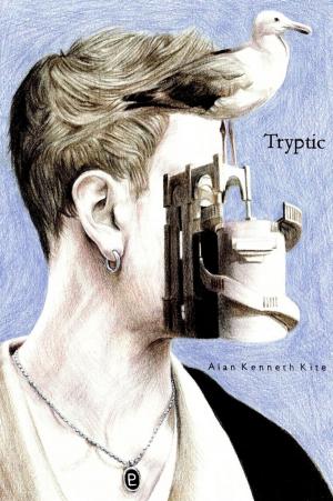 Cover of the book Tryptic by Douglas Christian Larsen