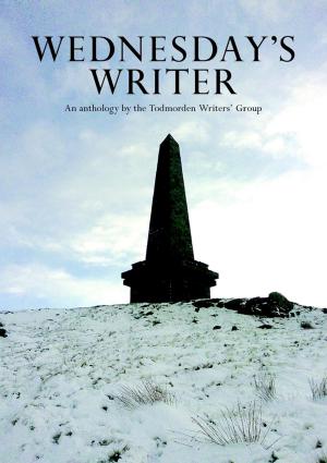 Cover of the book Wednesday's Writer by HJ Alden