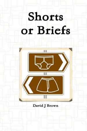 Cover of the book Shorts or Briefs by Kimberly Vogel