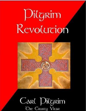 Cover of the book Pilgrim Revolution by Lisa Minneti, Lori Minneti