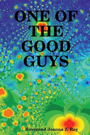 Cover of the book One of the Good Guys by Christine Bridson-Jones