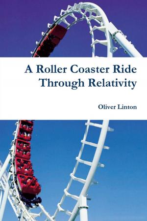 Book cover of A Rollercoaster Ride Through Relativity