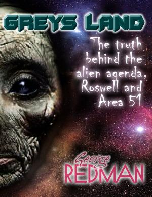 Cover of the book Grey's Land : The Truth Behind the Alien Agenda, Roswell and area 51 by Yolandie Mostert