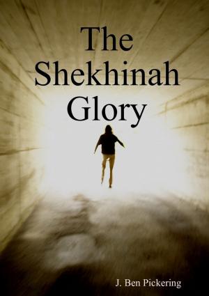 Cover of the book The Shekhinah Glory by John Barrington