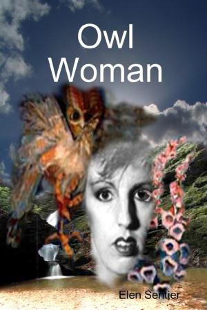 Cover of the book Owl Woman by Zachary Lewis