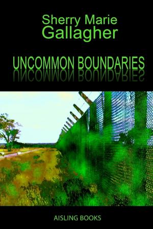 Book cover of Uncommon Boundaries: Tales and Verse