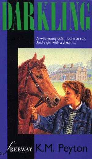 Cover of the book Darkling by Rosemary Sutcliff