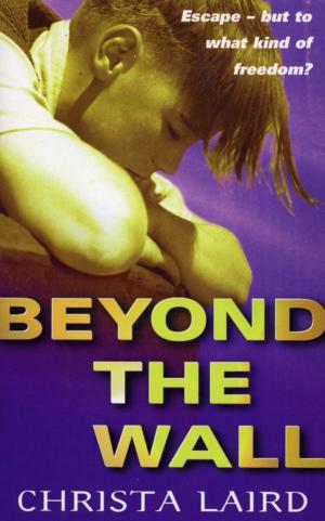 Cover of the book Beyond The Wall by Chris Ryan