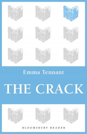 Cover of the book The Crack by Courttia Newland, Tania Hershman