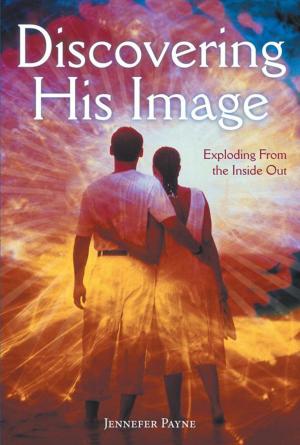 Book cover of Discovering His Image