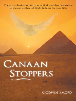 Cover of the book Canaan Stoppers by Mary S. Palmer