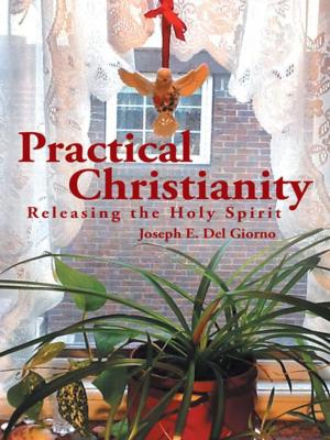 Cover of the book Practical Christianity by Anna M. Spear