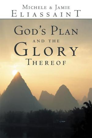 bigCover of the book God's Plan and the Glory Thereof by 