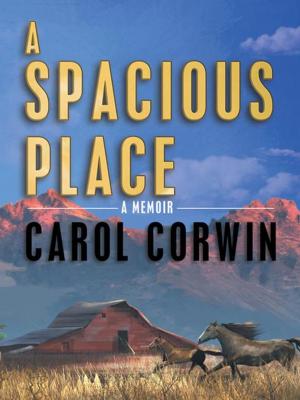 Cover of the book A Spacious Place by Regina O?Brien