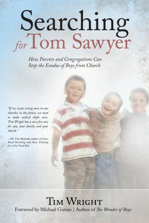 Cover of the book Searching for Tom Sawyer by JB Price