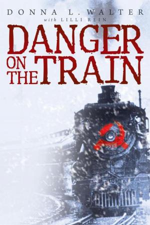Book cover of Danger on the Train