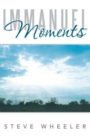 Cover of the book Immanuel Moments by John William Hodges