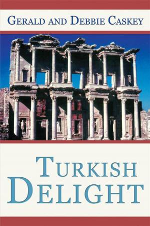 Cover of the book Turkish Delight by Juanita Ratz