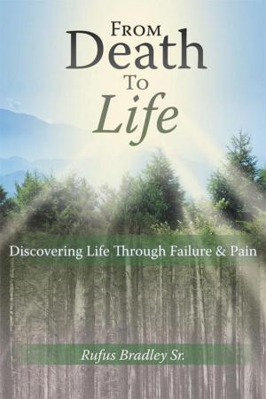 Cover of the book From Death to Life by Bill Goodwin