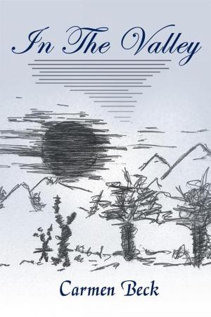 Cover of the book In the Valley by Jane Maxwell