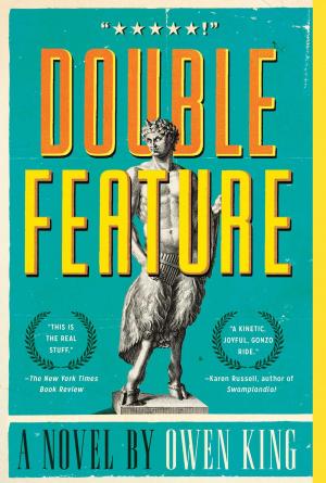 Cover of the book Double Feature by Aravind Adiga