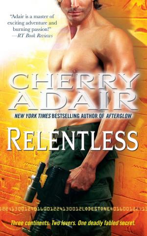 Cover of the book Relentless by Joseph Brockton