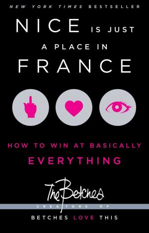 Cover of the book Nice Is Just a Place in France by Tish Cohen
