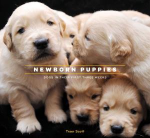 Cover of the book Newborn Puppies by Chronicle Books