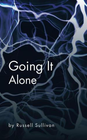 Cover of the book Going It Alone by Clifford J. Powell PhD, Graham A. Barker PSY.D