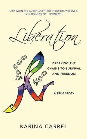 bigCover of the book Liberation by 