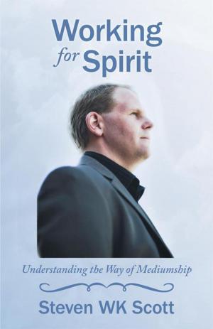 Cover of the book Working for Spirit by Selah Jessie