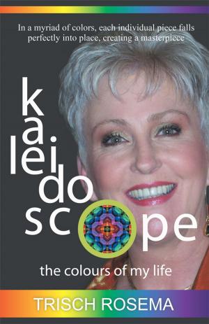 Cover of the book Kaleidoscope by Phil Heubach