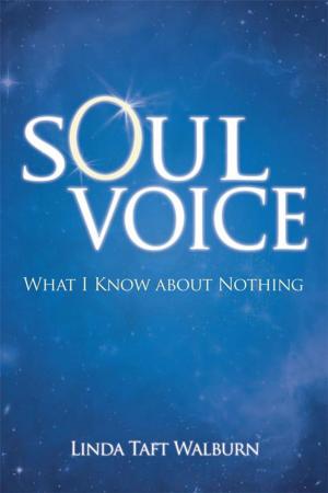 Cover of the book Soul Voice by Candy Boroditsky, Ming Chee-Brown