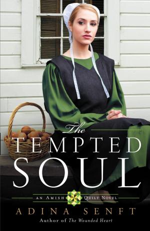 Cover of the book The Tempted Soul by Kristin Armstrong