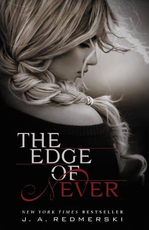 bigCover of the book The Edge of Never by 