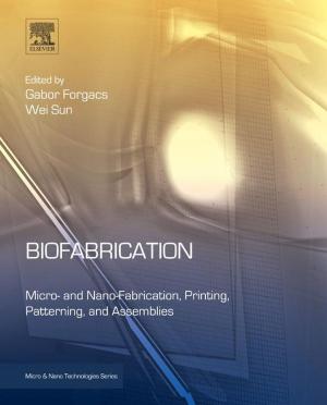 Cover of the book Biofabrication by João Manuel Paiva Cardoso, José Gabriel de Figueiredo Coutinho, Pedro C. Diniz