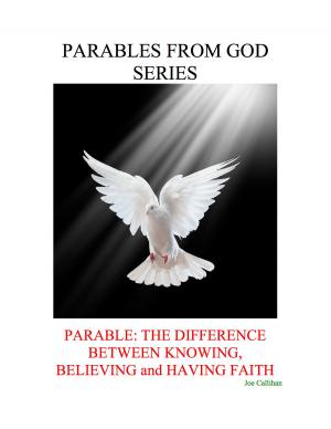 Cover of the book Parables from God Series - Parable: The Difference Between Knowing, Believing, and Having Faith by Lufadeju Olusegun