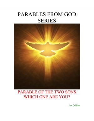 Cover of the book Parables from God Series - Parable of the Two Sons: Which One Are You? by P. G. Wodehouse
