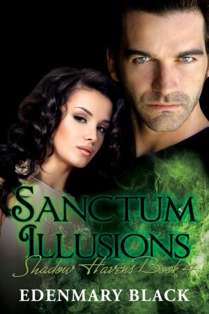 Cover of the book Sanctum Illusions: Shadow Havens Book 4 by Lillian Moats