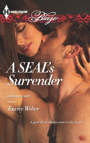 Cover of the book A SEAL's Surrender by Anna Jarzab
