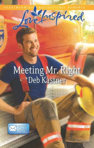 Cover of the book Meeting Mr. Right by Christy Barritt