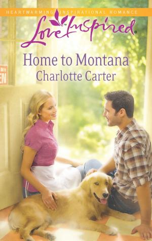 Cover of the book Home to Montana by Lina Crowe