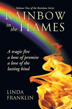 Cover of the book Rainbow in the Flames by Jan Blackburn